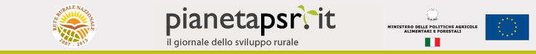 pianetapsr newsletter