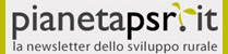 Pianeta Psr