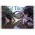 Logo GAL Titerno