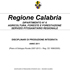 copertina documento