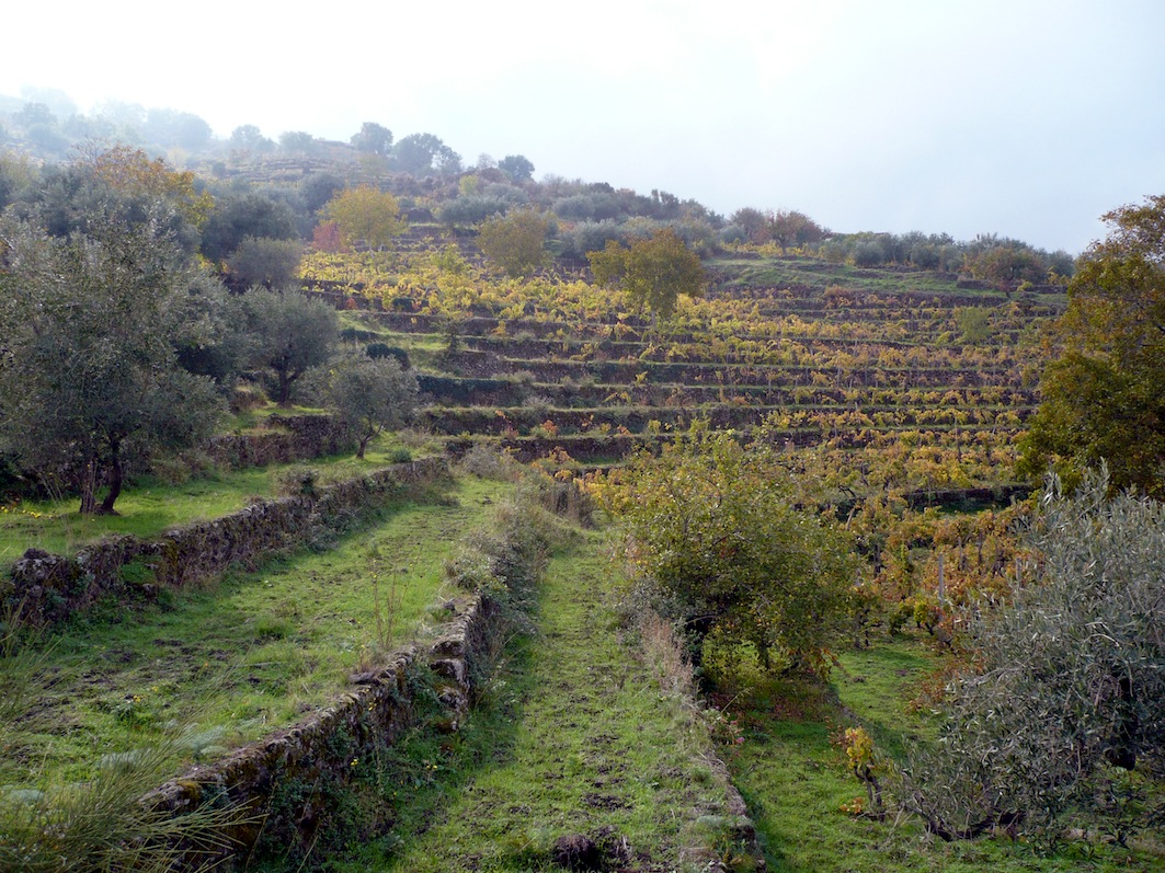 Rete rurale registro nazionale paesaggi rurali storici sicilia ...