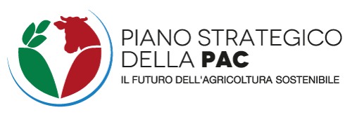 Piano Strategico PAC