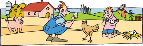 vignetta