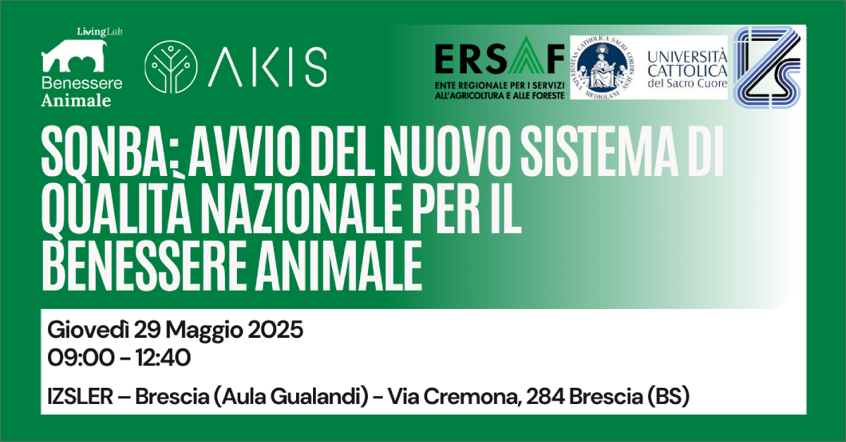 immagine notizia