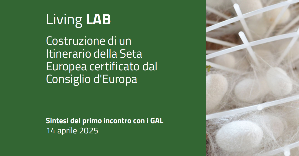 immagine notizia