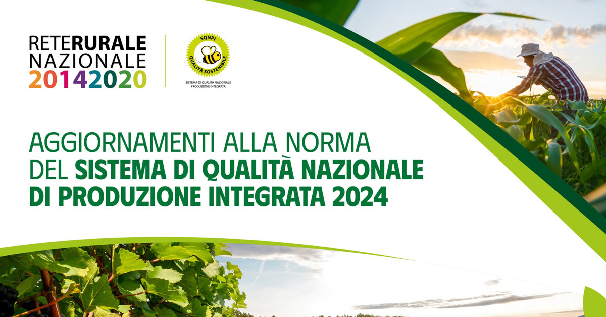 foto mani che tengono nei palmi il logo SQNPI