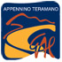 Logo GAL Appennino Teramano