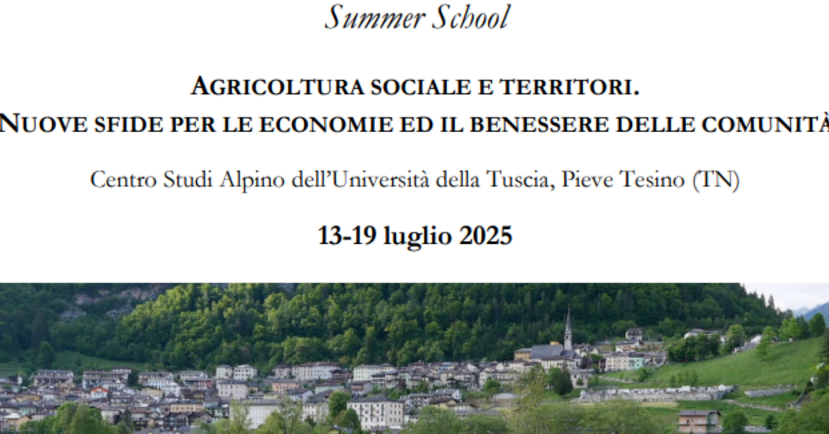 immagine notizia