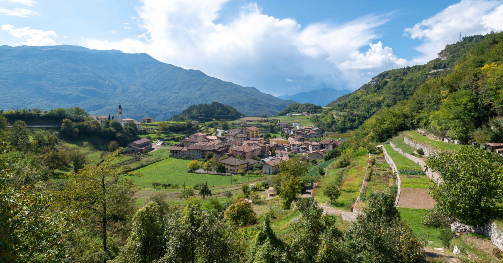 Gli uliveti a terrazze e lunette dei monti Lucretili