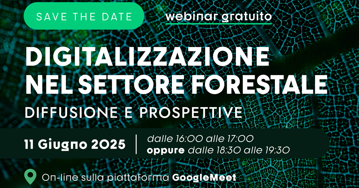 Foreste