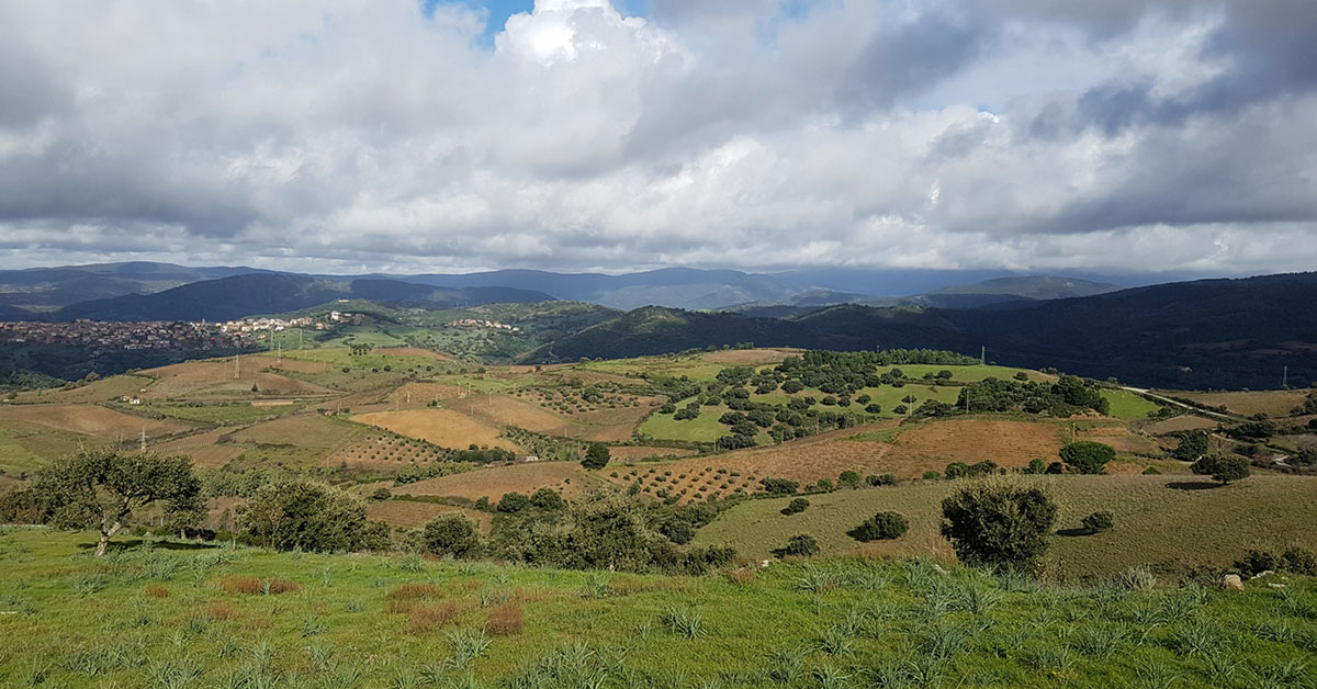 Sistemi Agro-Silvo-Pastorali del Marghine-Goceano - Oliveti terrazzati e Pascoli Arborati nei territori di Bolotana, Illorai e Lei