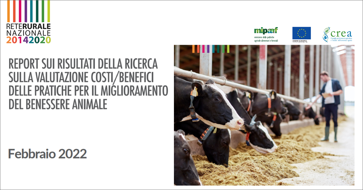 copertina documento