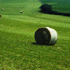 foto paesaggio rurale