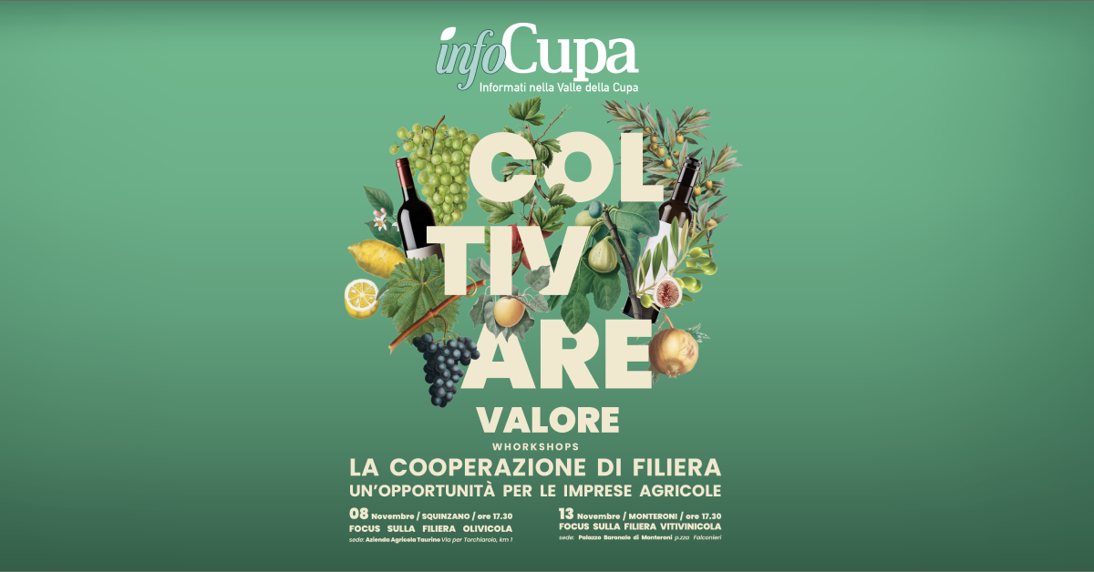 immagine notizia