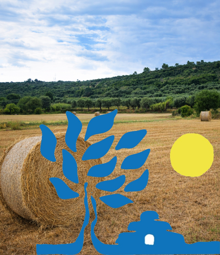 Agroforesta di Comunit�