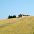 azienda agricola