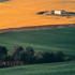 immagine sviluppo rurale