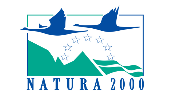 logo evento