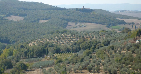 Paesaggio policulturale di Trequanda