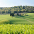 campagna