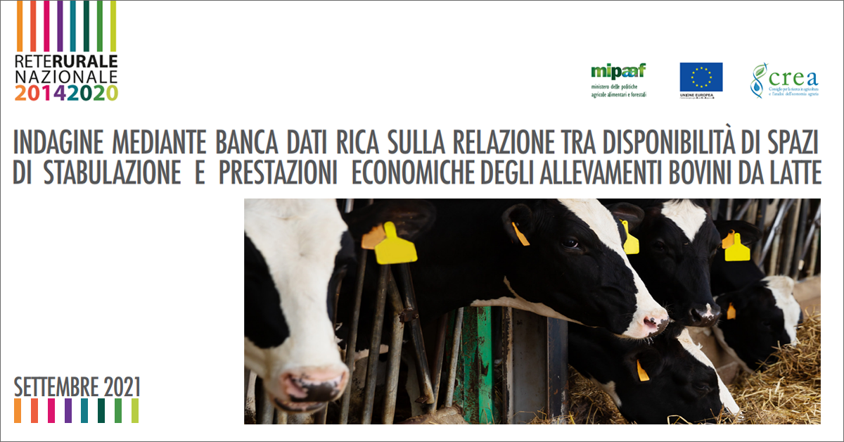 copertina documento