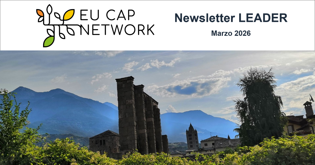 immagine newsletter