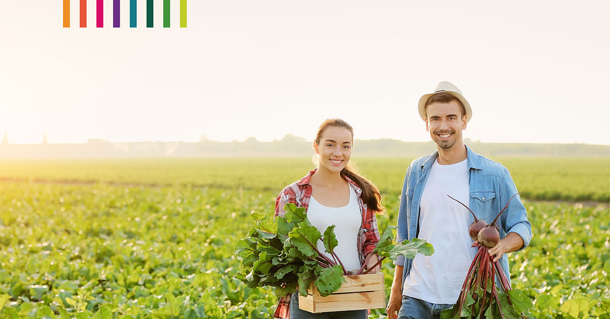 Analisi dell'attuazione della misura 6 - Sviluppo delle aziende agricole e delle imprese - nei PSR 2014-2020