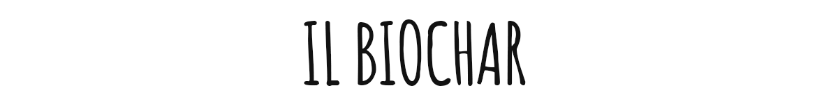 IL BIOCHAR