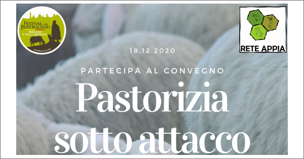immagine notizia