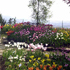 orto botanico