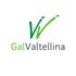 Logo GAL Valtellina