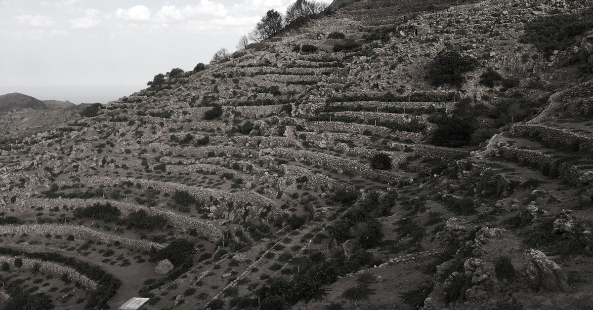 Paesaggio della Pietra a Secco dell'Isola di Pantelleria