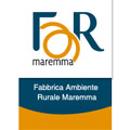 Logo GAL Farmaremma