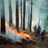 immagine incendio