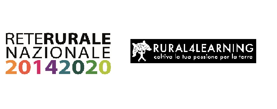 Bpol business plan image