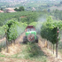campo con trattore 