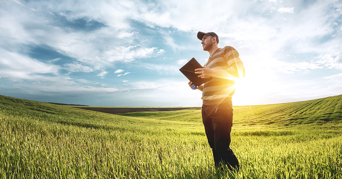 Copertina del documento