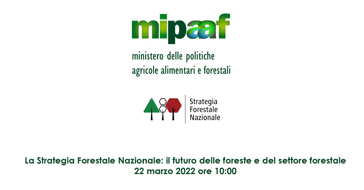 immagine evento
