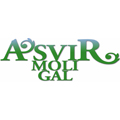 Logo GAL ASVIR Moligal