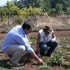 agricoltura giovani