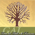 Logo GAL Terra dei Trulli e di Barsento