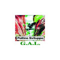 Logo GAL Pollino