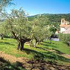 paesaggio rurale