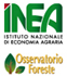 immagine foresta