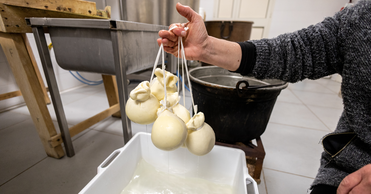 caciocavallo