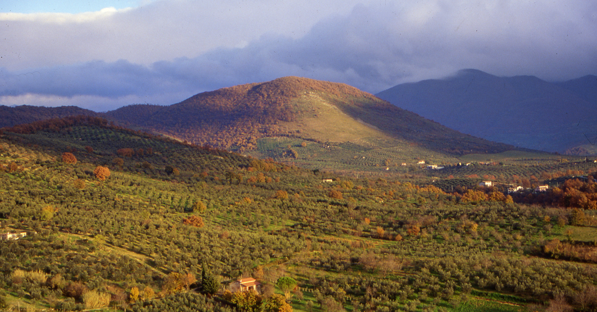 Gli uliveti a terrazze e lunette dei monti Lucretili