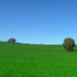 foto campo