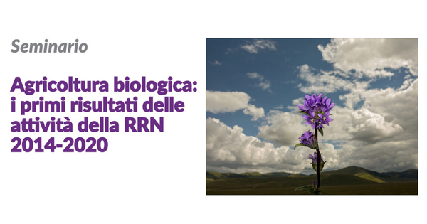 Logo Rete Rurale nazionale