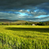 immagine paesaggio rurale