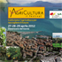 cartolina